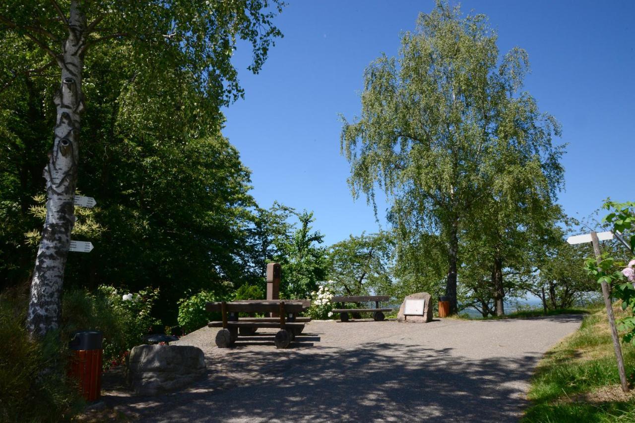 Residence Am Weinberg / Travellers Hotelbetriebs Gmbh Засбахвалден Екстериор снимка