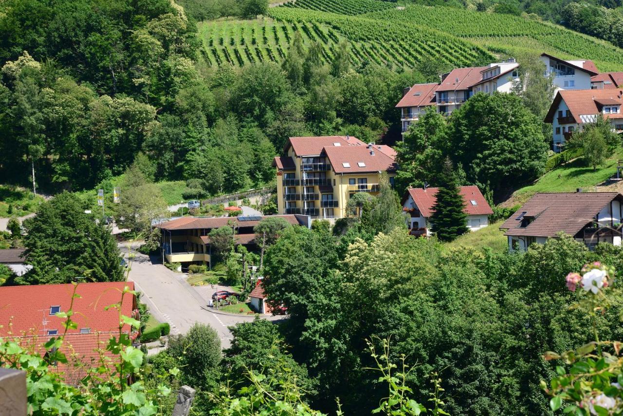 Residence Am Weinberg / Travellers Hotelbetriebs Gmbh Засбахвалден Екстериор снимка